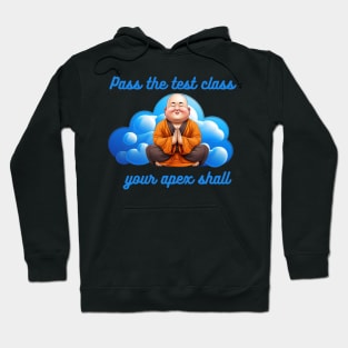 Salesforce meme design Hoodie